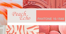 Peach Echo / Персиковое эхо (Pantone 16-1548)